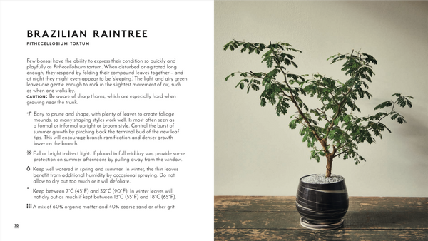 bonsai tree book little book of bonsai book – Dandy Farmer