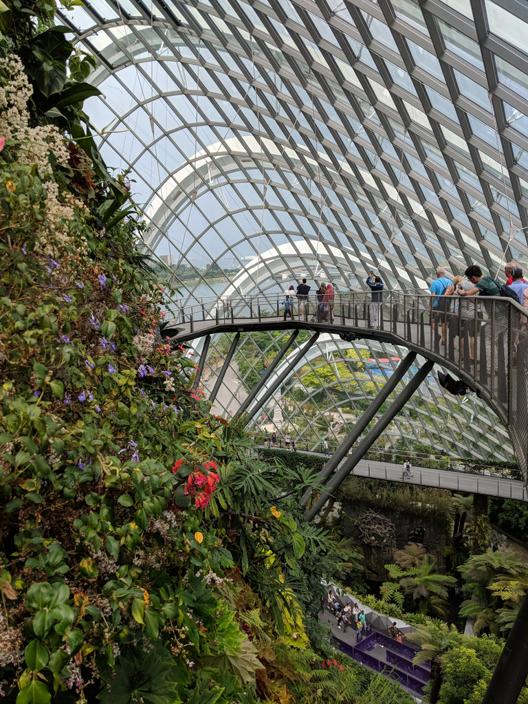 Cloud Forest Dome: Step in to the Lost World of Singapore's Crazy Rich Plants