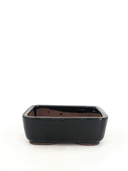 Bonsai Pot in Rounded Rectangle