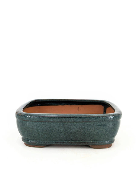 Bonsai Pot in Piped Rectangle