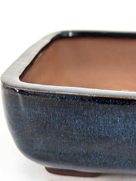 Bonsai Pot in Rounded Rectangle