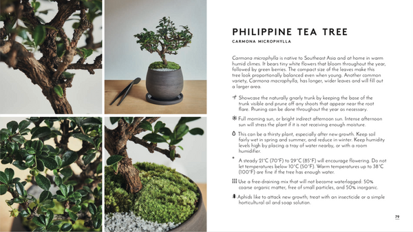 little book of bonsai book – Dandy Farmer little book of bonsai book – Dandy Farmer