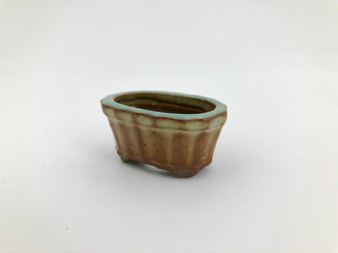 Mini Mini Bonsai Pot in Scalloped Oval - 1 3/4"L x 3/4"H | The Bonsai Shop   Dandy Farmer
