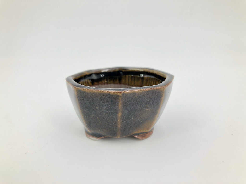 Mini Bonsai Pot in Round Octagon 2"D x 1"H The Bonsai Shop Dandy